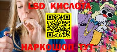 винт Новозыбков