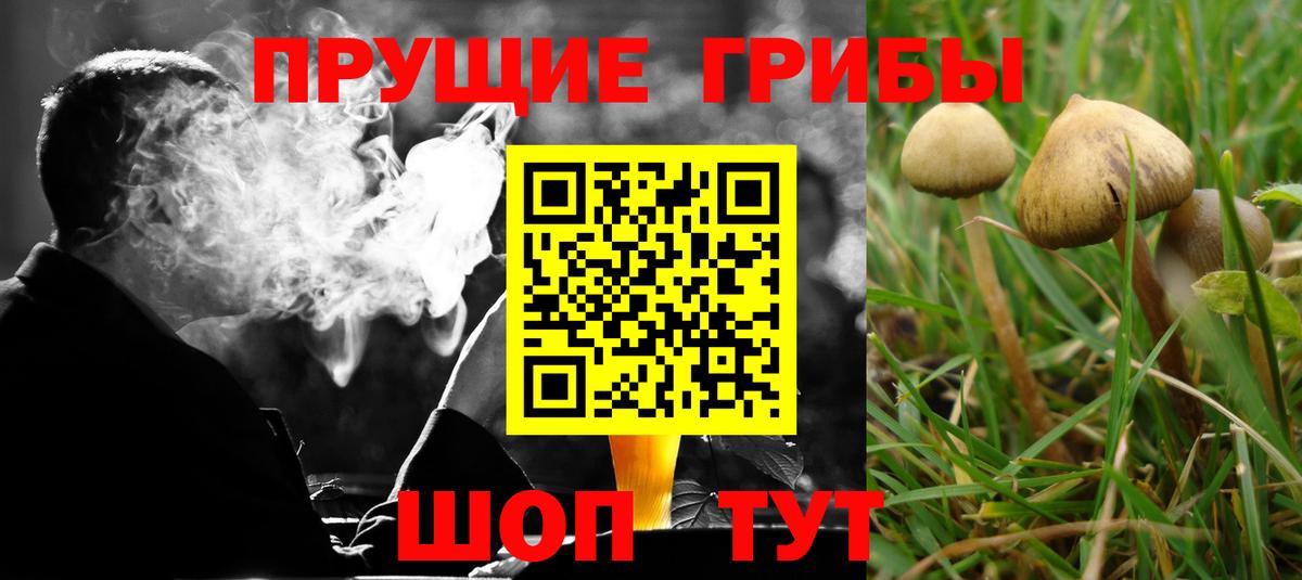 Меф   Каменск-Шахтинский  МАРИХУАНА  Вход с VPN  Кетамин  ГАШИШ  Гашиш  КОКАИН 