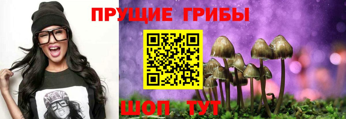 Каменск-Шахтинский  Псилоцибиновые грибы GOLDEN TEACHER  Псилоцибиновые грибы Psilocybe  Вход с VPN 